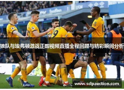 狼队与埃弗顿激战正酣视频直播全程回顾与精彩瞬间分析